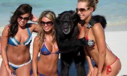 Những khoảnh khắc "cười ngủ" của động vật (P8)