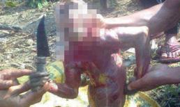 Lại bàng hoàng trước bức ảnh khỉ bị lột da trên Facebook