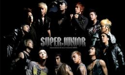 Super Junior suýt tan đàn xẻ nghé vì cãi nhau