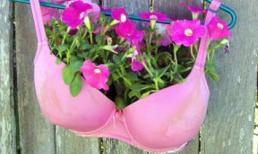 Những tác dụng khó đỡ của áo lót