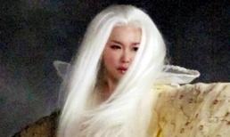 Đau khổ vì tình, Phạm Văn Phương tóc bạc trắng sau một đêm