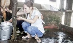 Khi mỹ nhân Việt "nói không" với giày cao gót