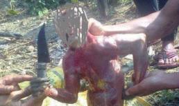 Những câu chuyện rùng rợn về hành hạ động vật từ bệnh viện chó mèo