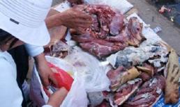 Lật tẩy kỹ nghệ làm giả “đặc sản thú rừng” siêu đẳng