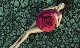Ngắm chùm ảnh nghệ thuật đẹp mê hồn