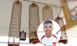 Ngắm nhà kiện tướng dancesport Chí Anh