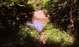 Lạ kỳ “giếng nước thần” của người Mường (kỳ 2)