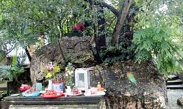 &quot;Kho b&#225;u trinh nữ&quot; ở H&#224; Nội