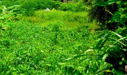 Vụ chân trôi sông: Tháo khớp bán nội tạng hay gây khó CQĐT?