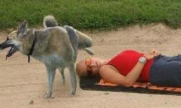 Những khoảnh khắc 'không thể đỡ nổi' (P27)