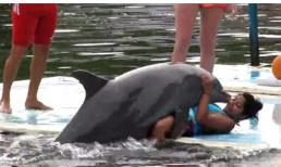 Phát sốt clip cá heo "sàm sỡ" 1 cô gái