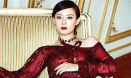 'Gái một con" Tôn Lệ khoe nét đẹp ấn tượng, kiêu sa