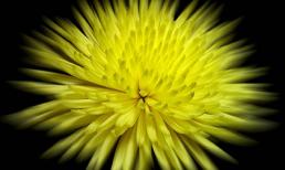 Thứ Bảy của bạn (4/8/2012)