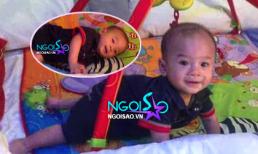 Clip: Con trai Thụy Anh - Ngô Kiến Huy tập bò vô cùng đáng yêu