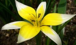 Thứ Hai của bạn (6/8/2012)