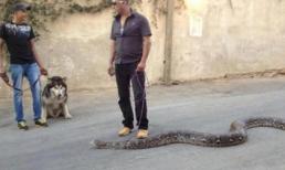 Những "chiêu cười độc" của cộng đồng (P125)