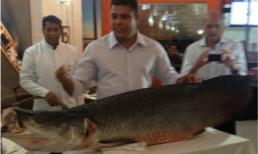 Ro béo trổ tài làm đầu bếp với chú cá... 200 kg