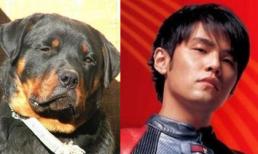 Khi Sao giống... động vật như tạc!