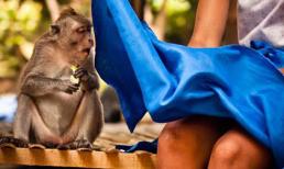 Những "chiêu cười độc" của cộng đồng (P128)