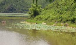 Hà Nội: 8 học sinh nữ chết đuối ở hồ Tuy Lai