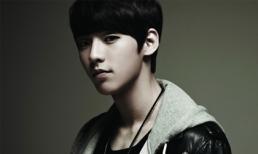 Những tân binh nổi bật nhất của K-Pop 2012