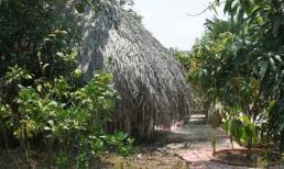 Đổi vợ làm tình-thú chơi biến thái ở Sài Gòn