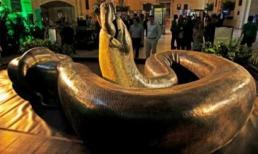 Loài rắn lớn nhất thế giới đã từng tồn tại?