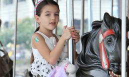 Suri hăng say cưỡi ngựa gỗ trong khu vui chơi