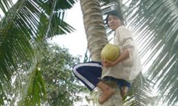 Nữ sinh h&#225;i dừa thu&#234; đậu hai trường đại học