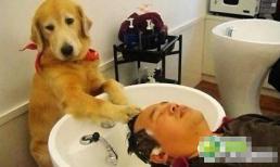 Những khoảnh khắc "cực yêu" của động vật