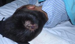 Vụ 'chào phòng' KTX đẫm máu: Trường định ém thông tin