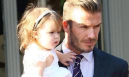 Bí mật ý nghĩa tên gọi của các "nhóc tỳ" nổi tiếng