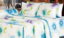 Cuscino mang "luồng gió mới" của sắc xuân vào góc ấm hạnh phúc