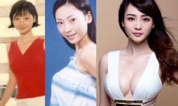 "Siêu vòng một" Liễu Nham đã hóa "thiên nga" như thế nào?