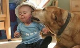 Khoảnh khắc đáng yêu của trẻ thơ và cún cưng