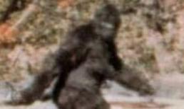 Người tuyết có thật!