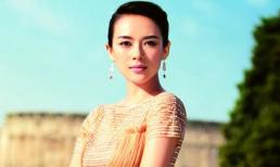 Chương Tử Di ra tòa đối chất về scandal “gái bao”