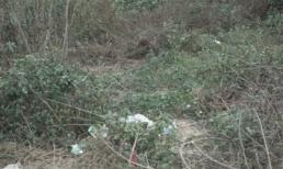 Hà Nội: Phát hiện một xác chết cháy cạnh quốc lộ