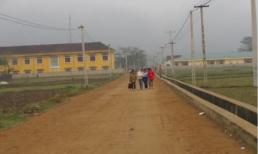 Sự thật về chuyện “hàng trăm học sinh bất ngờ bị…lấy máu”