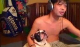 Clip hot: Chó ngất lịm vì chủ 'viêm cánh'