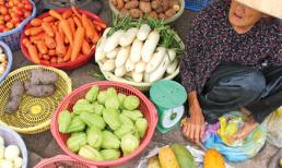 Tắm hoá chất, củ héo lại tươi căng!