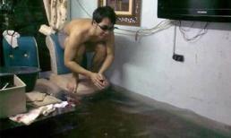 Xe ôm hôn, giá mềm nhũn