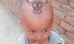 Tuổi thơ dữ dội: Ai cũng từng như thế