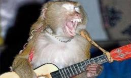 Ảnh vui: Đời tôi cô đơn nên yêu ai cũng cô đơn