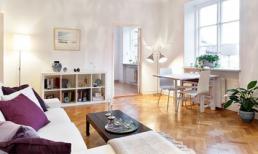 48m2 lý tưởng của quý cô công sở