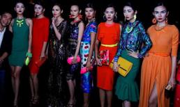 Kinh hoàng chiêu trò "chặt chém" nhau của người đẹp Việt