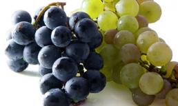 Lợi ích "trăm đường" từ trái nho