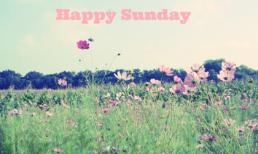 Chủ nhật của bạn (20/10)