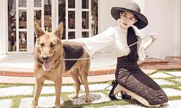 Ngọc Trinh đẹp như tiểu thư bên thú cưng