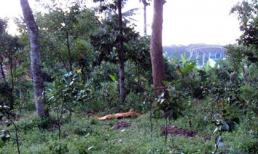 Dẫn bạn gái vào chùa sát hại rồi chôn luôn xác